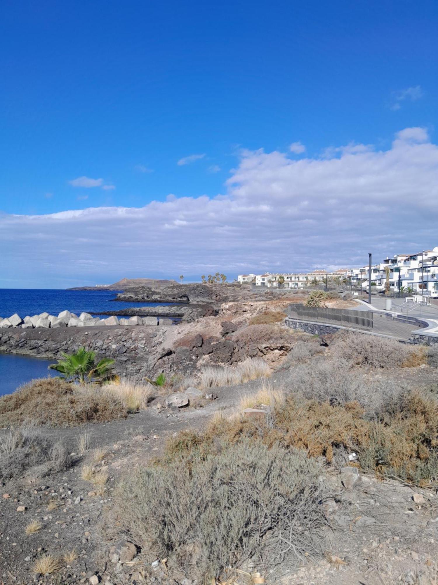 Apartment Amarilla
